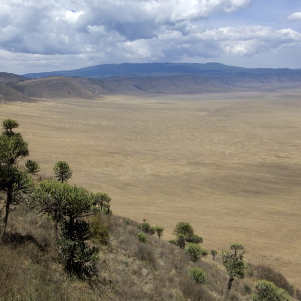 view on the Ngorongoro Crater, tanzania